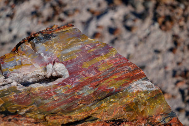 istock Petrified and Crystallized Log at Petrified Forest National Park (Arizona) 1477676278