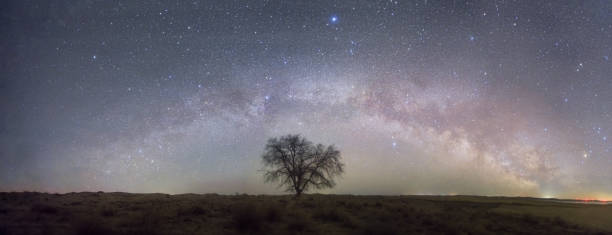 istock Lone tree in the grassland under the spring Milky Way Arc Bridge 1477677866