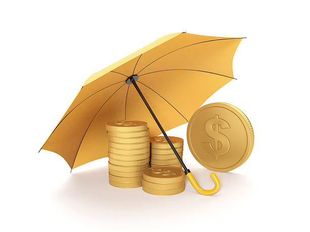 保護のお金 - meteorology finance currency symbol gold ストックフォトと画像