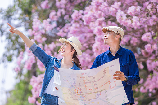 Asian couple tourist holding city map while walking in the park at cherry blossom tree during spring sakura flower festival