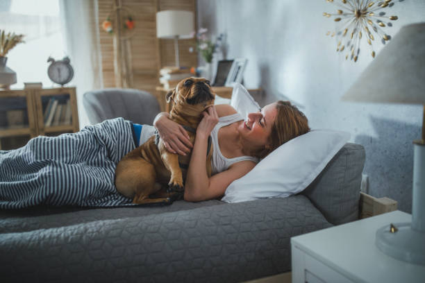 istock woman playing with her dog in the bed 1477686218