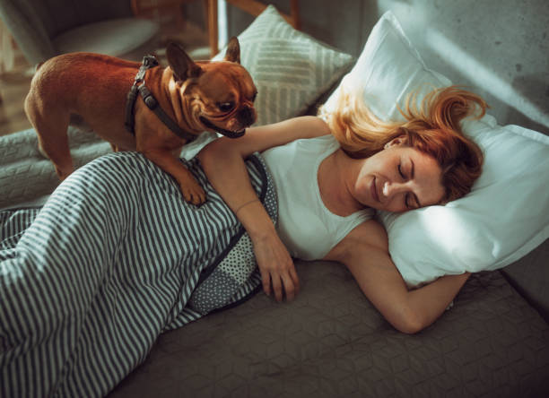 istock woman playing with her dog in the bed 1477686317