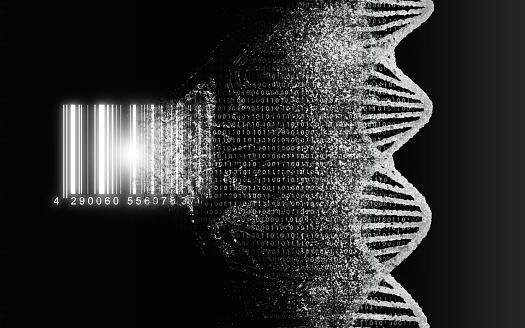 Decodificación de ADN, concepto de decodificación biológica, genética. Mapa Genom. La cadena de ADN, doble hélice de ácido nucleico, se lee y se convierte en un código de barras. photo
