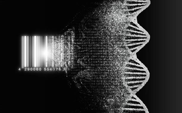 istock DNA decode, biological, genetic decoding concept. Genom map. The DNA strand, nucleic acid double helix, is read and converted into a barcode. 1477691777