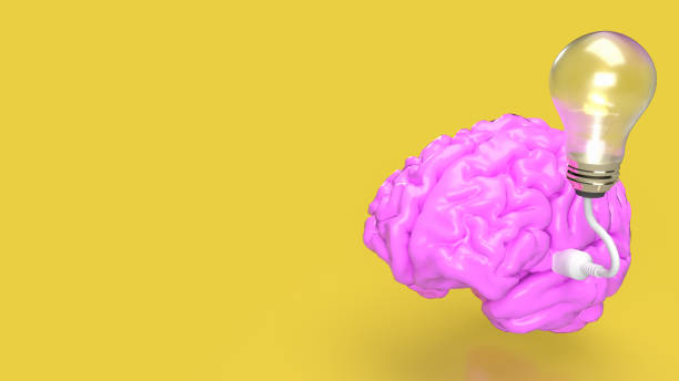 istock The pink Brain and light bulb on yellow background for creative or idea concept 3d rendering 1477692141