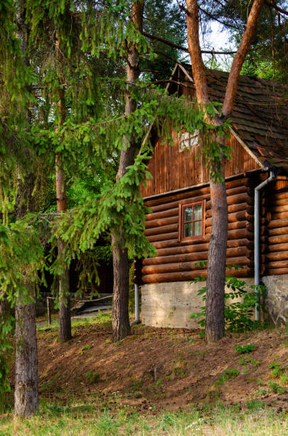istock Vacation home in a pine park in summer. 1477695942