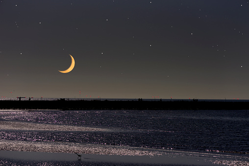 Crescent moon rising over the Tokyo bay area with copy space.