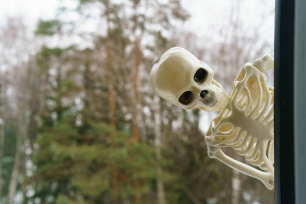 Funny skeleton stock photo