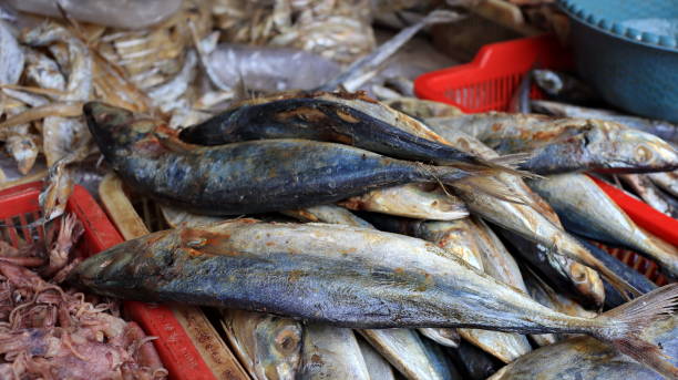 istock Various salted fish sell in a traditional market 1477702371