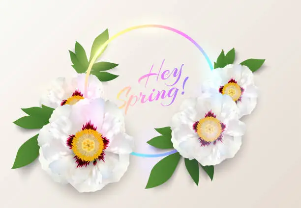 Vector illustration of Neon light circle logo frame with Hey spring text, big white peony flowers. Round frame, flower, green leaf on creamy background. For greeting card, invitation, wedding, birthday and other holiday