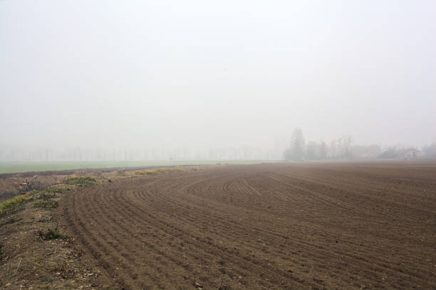 冬の霧の日に遠くに木がある耕作畑 - mist rock winter autumn ストックフォトと画像