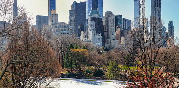 Cityscape of NYC and Central Park and Wollman Rink