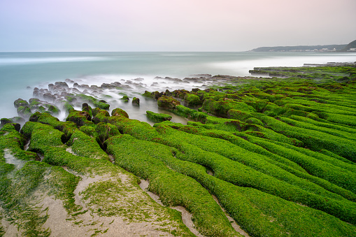 White waves wash over mossy brown rocks. Explore breathtaking coastal landscape. Laomei Green Stone Groove is a good place to visit in spring and summer. Taiwan