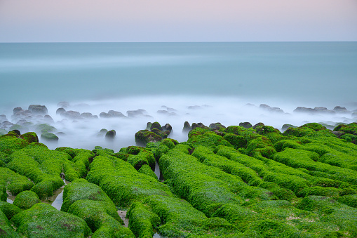 White waves wash over mossy brown rocks. Explore breathtaking coastal landscape. Laomei Green Stone Groove is a good place to visit in spring and summer. Taiwan