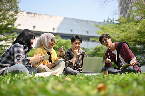 A group of happy and smart young Asian-diverse college students are talking and brainstorming on their school project in the campus park together.