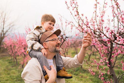 Caucasian father carrying his toddler son on shoulders, while both enjoy the spring day