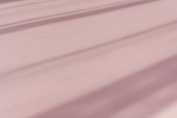 The shadow of the plant on a grey background with space for text. For design. Minimalism.