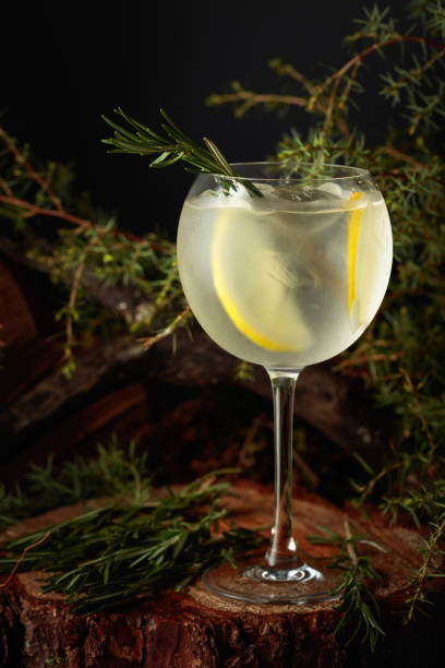 istock Gin and Tonic cocktail with lemon and rosemary. 1477737295