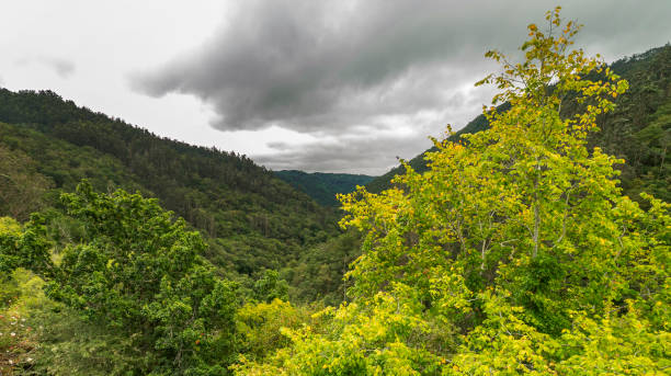 istock Fragas do Eume Natural Park, Pontedeume, Spain 1477738352
