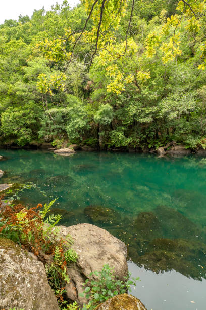 istock Fragas do Eume Natural Park, Pontedeume, Spain 1477738502