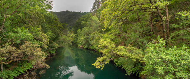istock Fragas do Eume Natural Park, Pontedeume, Spain 1477738648