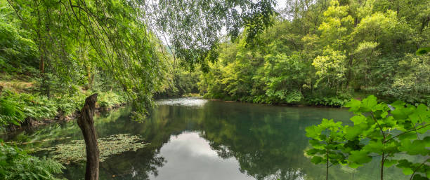 istock Fragas do Eume Natural Park, Pontedeume, Spain 1477738809