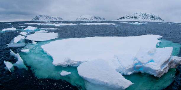 istock Drift floating Ice, Albert I Land, Arctic 1477739293