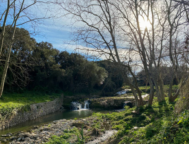 istock Torrent in the field with great flow 1477741066