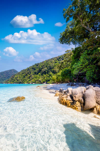 istock A tropical paradise beach with turquoise ea at the remote Surin islands 1477745810