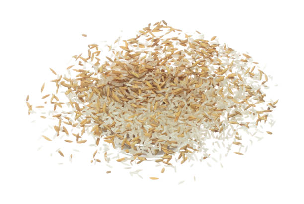 istock Paddy Rice grain fly in mid air. Yellow Golden Paddy Rice falling scatter, explosion float in shape form line group. White background isolated freeze motion high speed shutter 1477746550