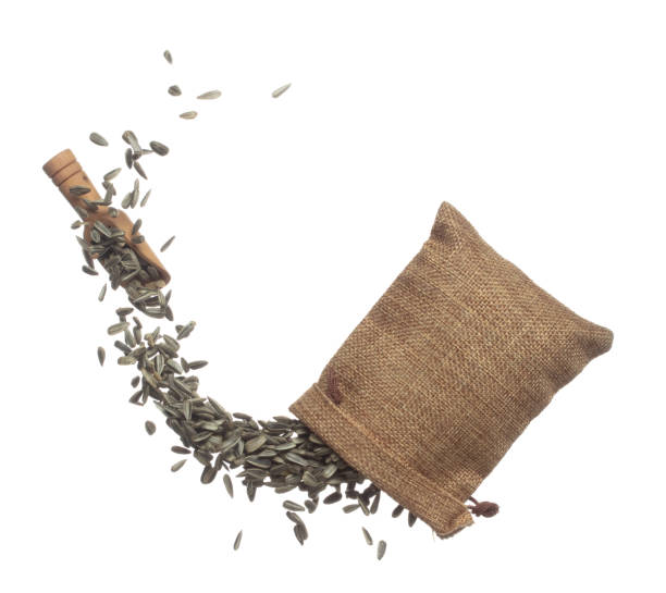 istock Sunflower seed grain fly in sack bag. Sunflower seed falling scatter, explosion float in shape form line group. White background isolated freeze motion high speed shutter 1477746608