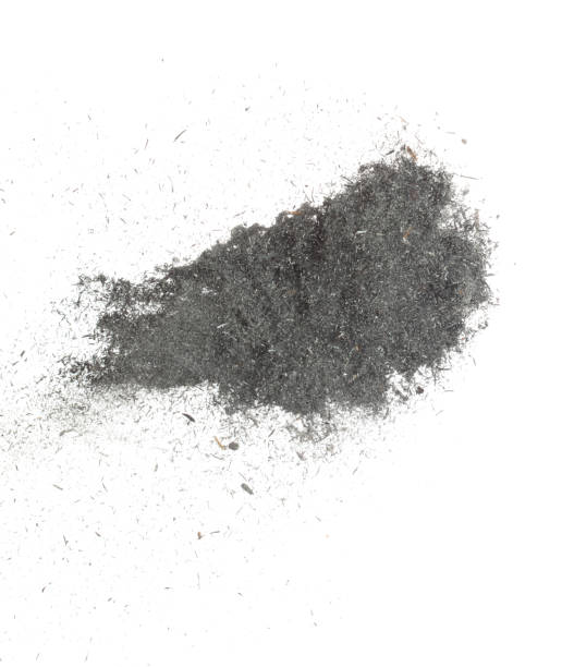 Black Husk rice seed grain fly in air. Burn black husk paddy falling scatter, explosion float in shape form line group. White background isolated freeze motion high speed shutter el grano de semilla de arroz de cáscara negra vuela en el aire. quemar cáscara negra cáscara de arroz que cae dispersión, explosión flotar en forma de grupo de línea. fondo blanco aislado movimiento de congelación obturador de alta velocidad