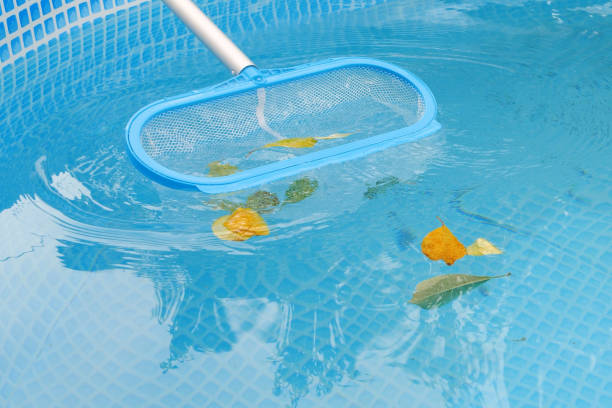 istock Cleaning a swimming pool with a mesh skimmer . The long net cleans colored leaves off surface of the water 1477751876