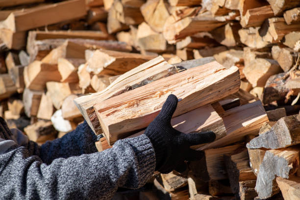 Man taking dry split firewood from stack for heating house stock photo