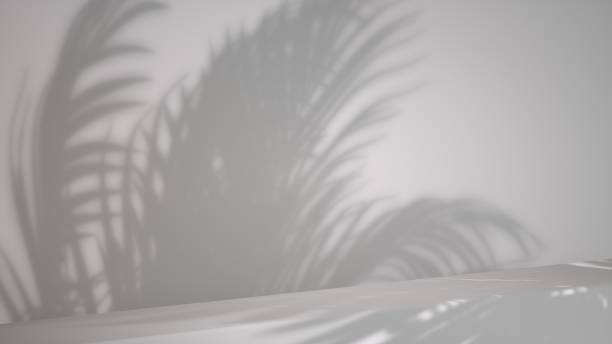 istock Modern White Display With Plant Shadow For Product Promotion - 3D Illustration 1477759230