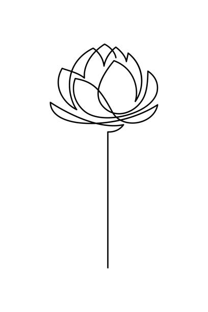 kwiat lotosu - water lily single flower flower water stock illustrations
