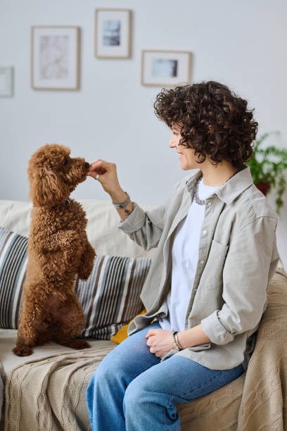 istock Woman training her little dog 1477760060