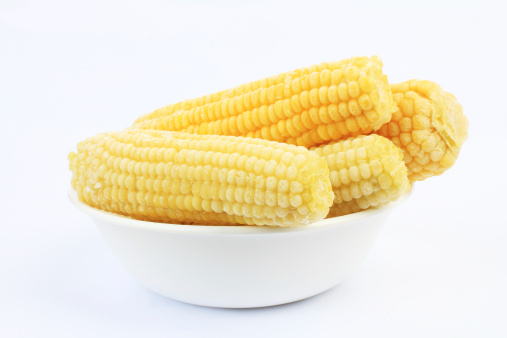 Frozen ears of corn in white bowl against white background thawing in preparation for cooking.
