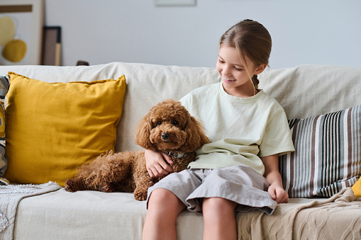 Smiling little girl sitting on sofa in the living room together with her dog