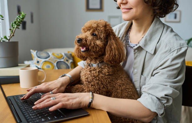 istock Owner with dog working on laptop 1477760906