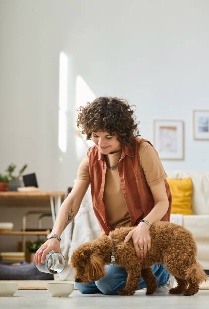 istock Woman feeding her little dog 1477761170