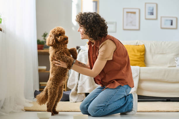 istock Woman playing with her pet at home 1477761191