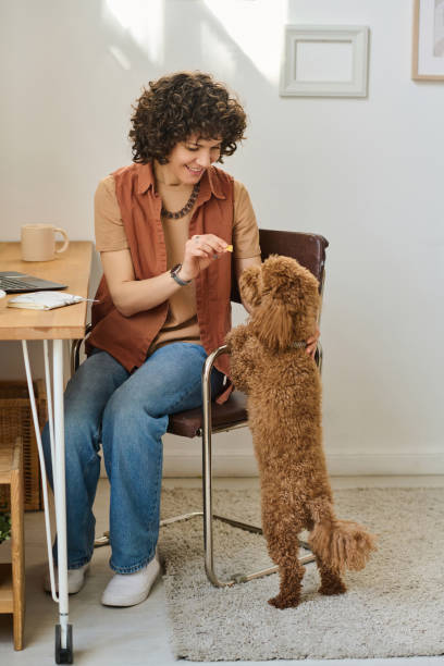 istock Girl feeding her dog at home 1477761199