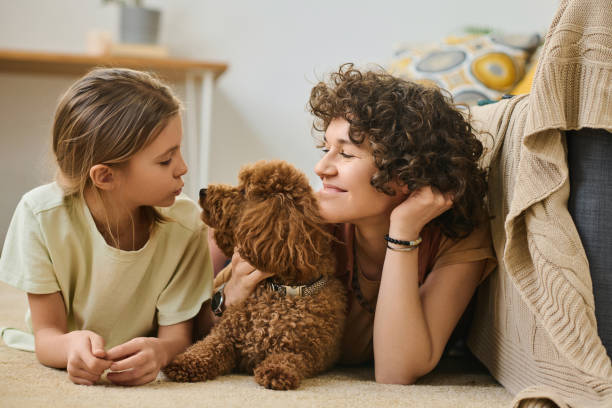 istock Family with dog enjoying time together 1477761521