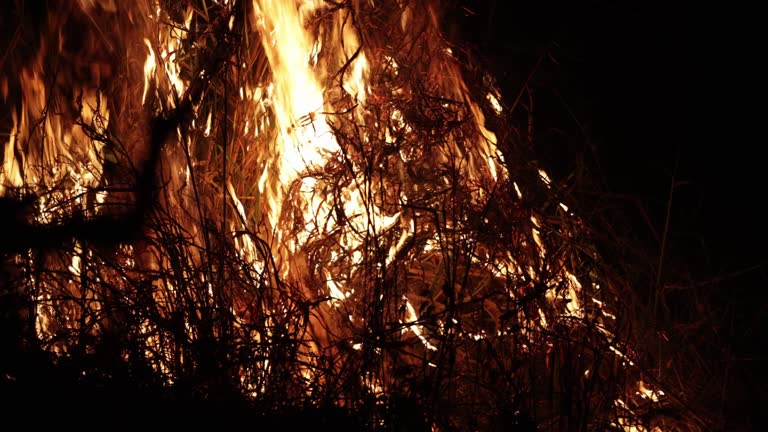 4k video, grass burning and spreading to wildfire with black background.