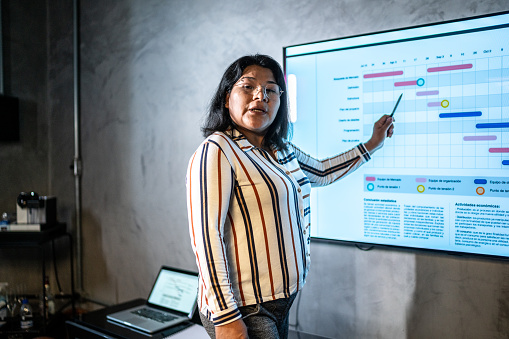 Businesswoman doing a presentation at the office