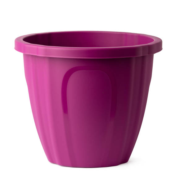 istock Plastic pot for house plants isolated on white 1477771404