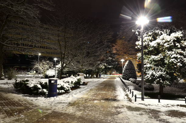 istock Winter night in Kolobrzeg town park 1477771987