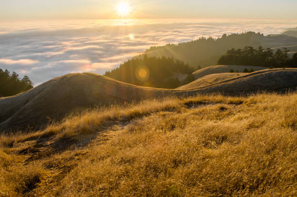 istock Sunset of pacific coast from Mt Tamalpais 1477773992