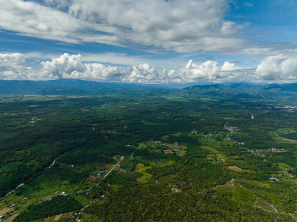 istock Mountain slopes covered with rainforest. Borneo, Malaysia. 1477775711